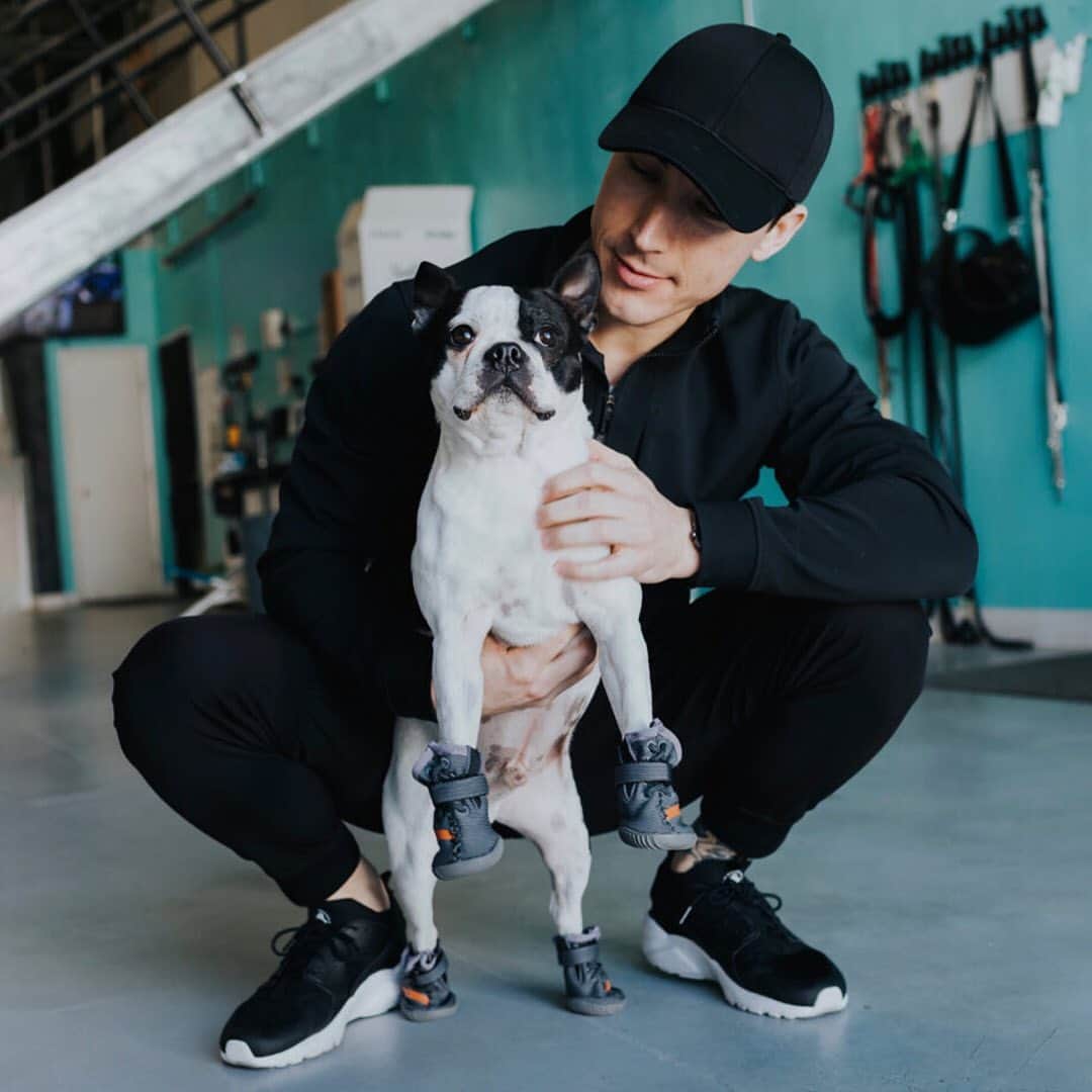 HYPEBEASTさんのインスタグラム写真 (HYPEBEASTInstagram)「hypebeastkicks Your dog