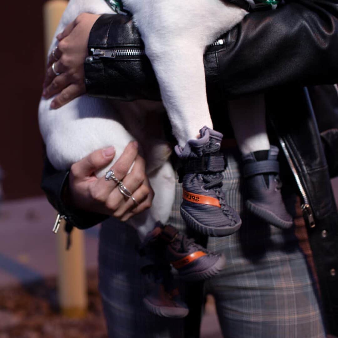 HYPEBEASTさんのインスタグラム写真 (HYPEBEASTInstagram)「hypebeastkicks Your dog