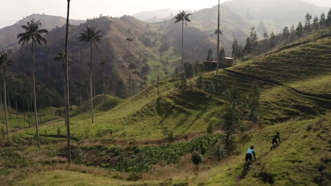 Shimanoさんのインスタグラム動画 (ShimanoInstagram)「This past March, while much of