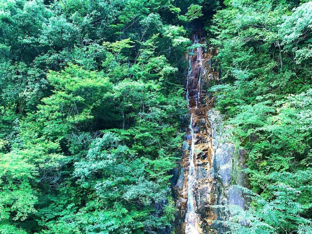 樋口裕希さんのインスタグラム写真 (樋口裕希Instagram)「モネの池 川浦渓谷 これでかおれって読むらしい 岐阜 自然が