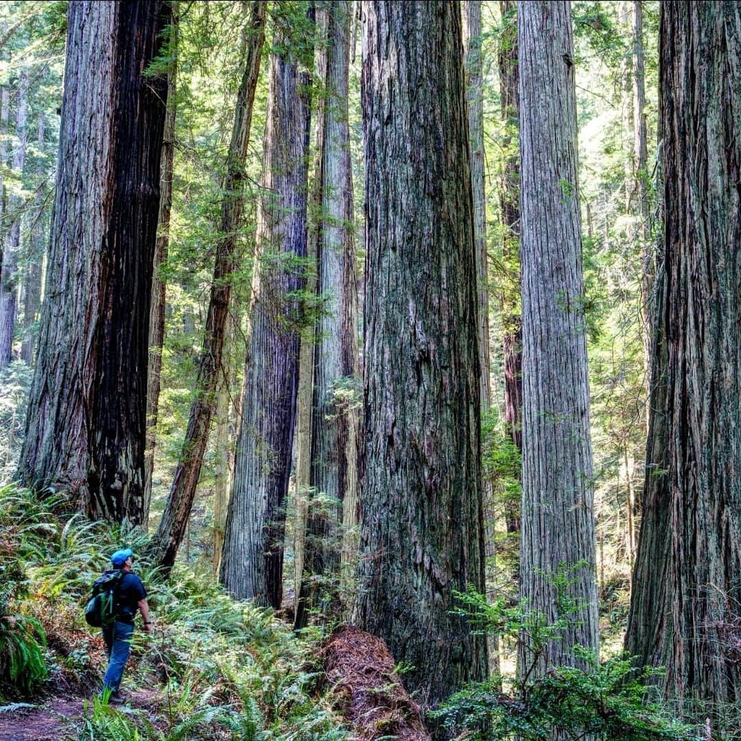 アメリカ内務省さんのインスタグラム写真 (アメリカ内務省Instagram)「From the National Park Service