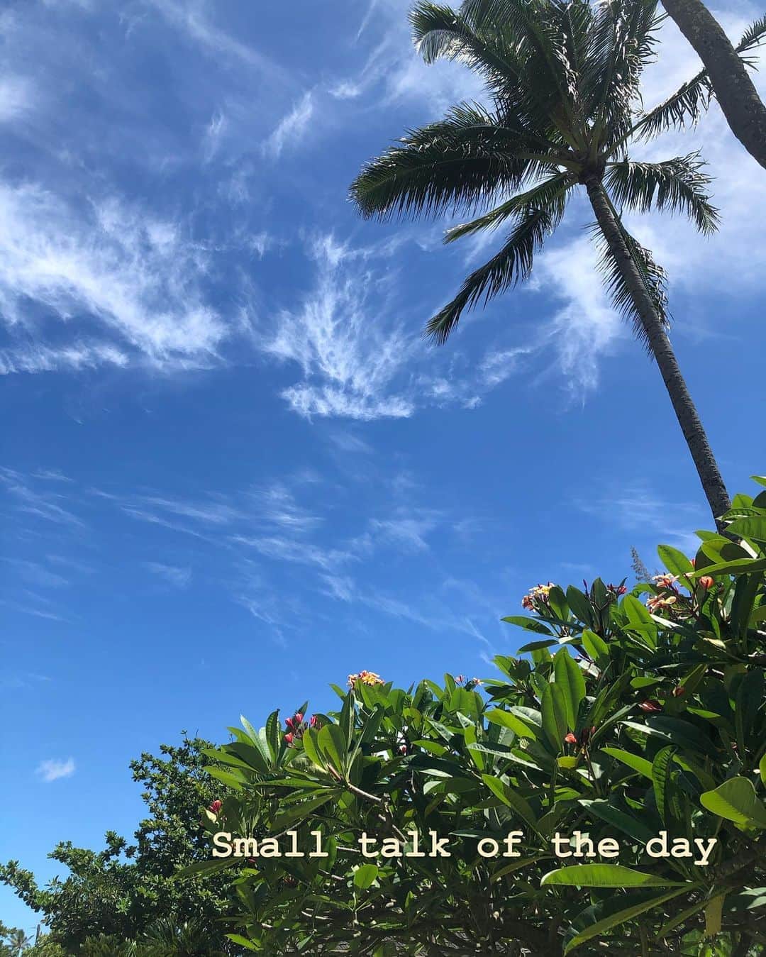 Honolulu Myohoji Missionさんのインスタグラム写真 (Honolulu Myohoji