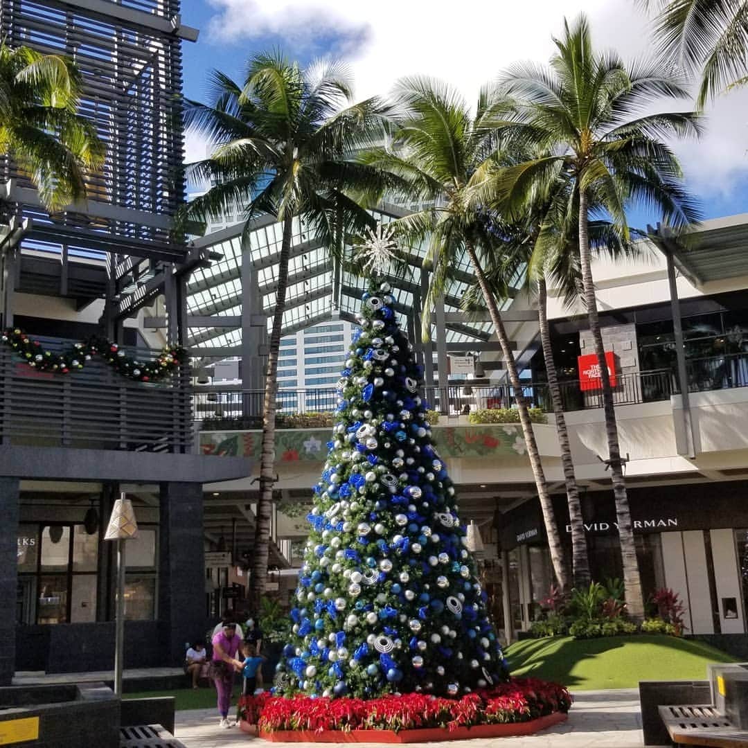 瀬川慶さんのインスタグラム写真 (瀬川慶Instagram)「Christmas tree alamoanacenter アラモアナも