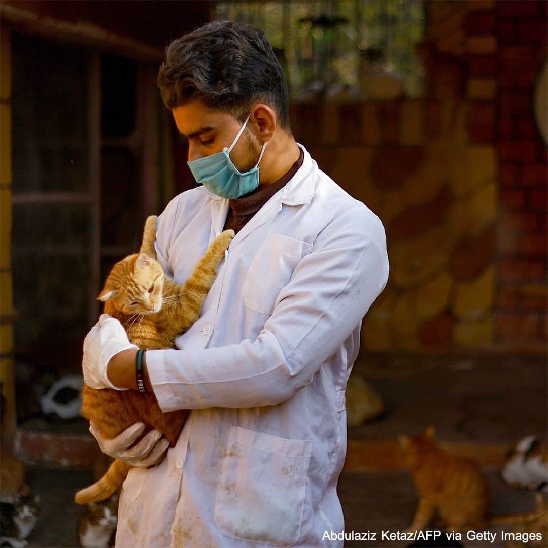 ABC Newsさんのインスタグラム写真 (ABC NewsInstagram)「Veterinarian Mohamed Bayoush