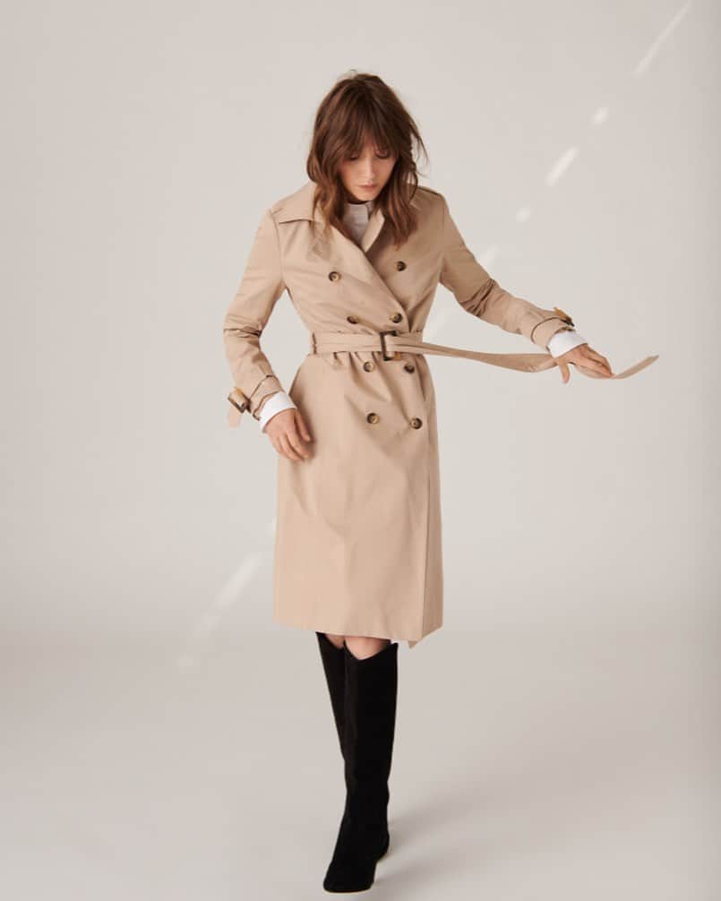 タラジャーモンさんのインスタグラム写真 (タラジャーモンInstagram)「Describe Majorelle trenchcoat