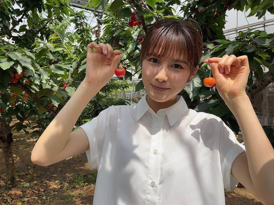 YBSのInstagram YBSメンバーのインスタグラム