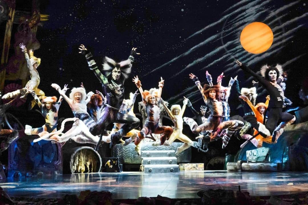 劇団四季さんのインスタグラム写真 (劇団四季Instagram)「人間に飼い馴らされることを拒否して、逆境に負けずしたたかに生き抜き、自ら