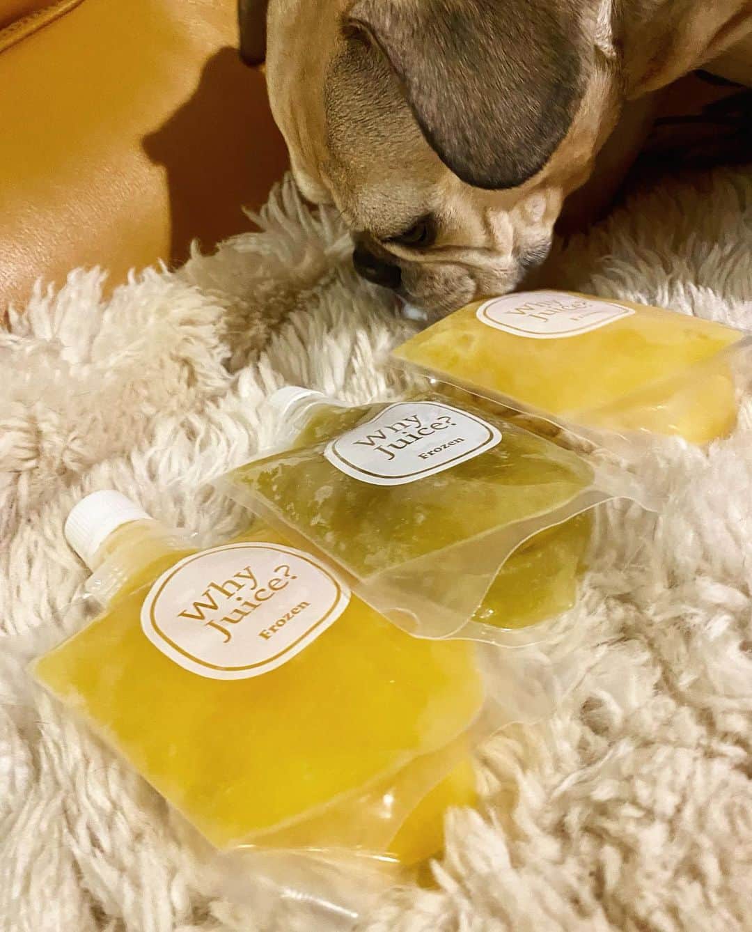 桐山マキさんのインスタグラム写真 (桐山マキInstagram)「. . . Fasting 🥤 数ヶ月ぶりの ファスティングを why