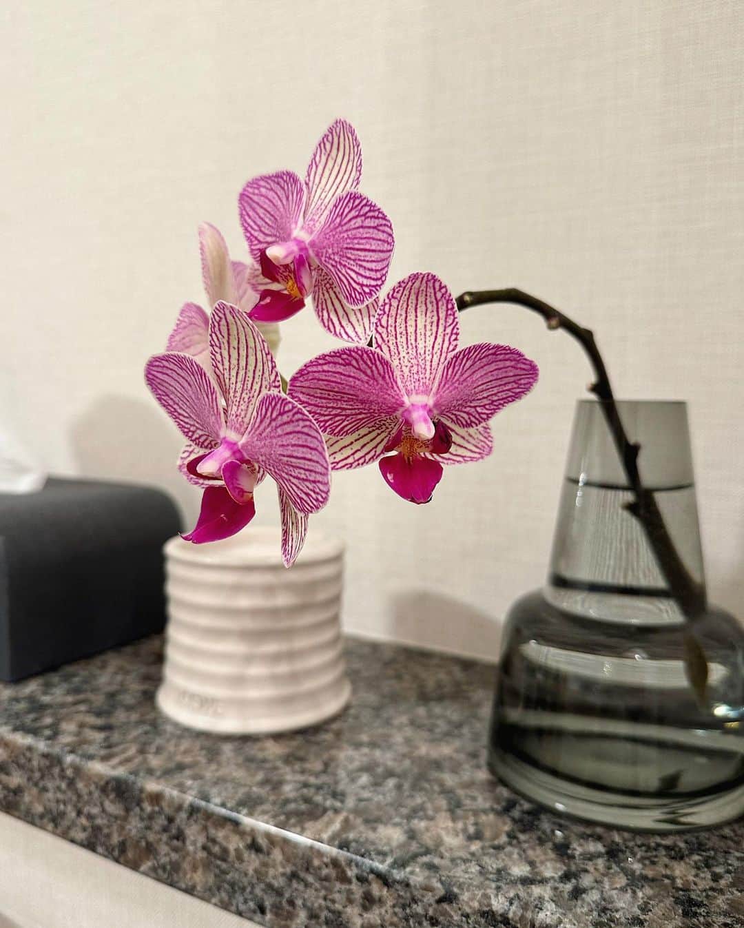 左近鈴乃さんのインスタグラム写真 (左近鈴乃Instagram)「. flowers in my house 🌷💗🏠💐」4月19日 18時