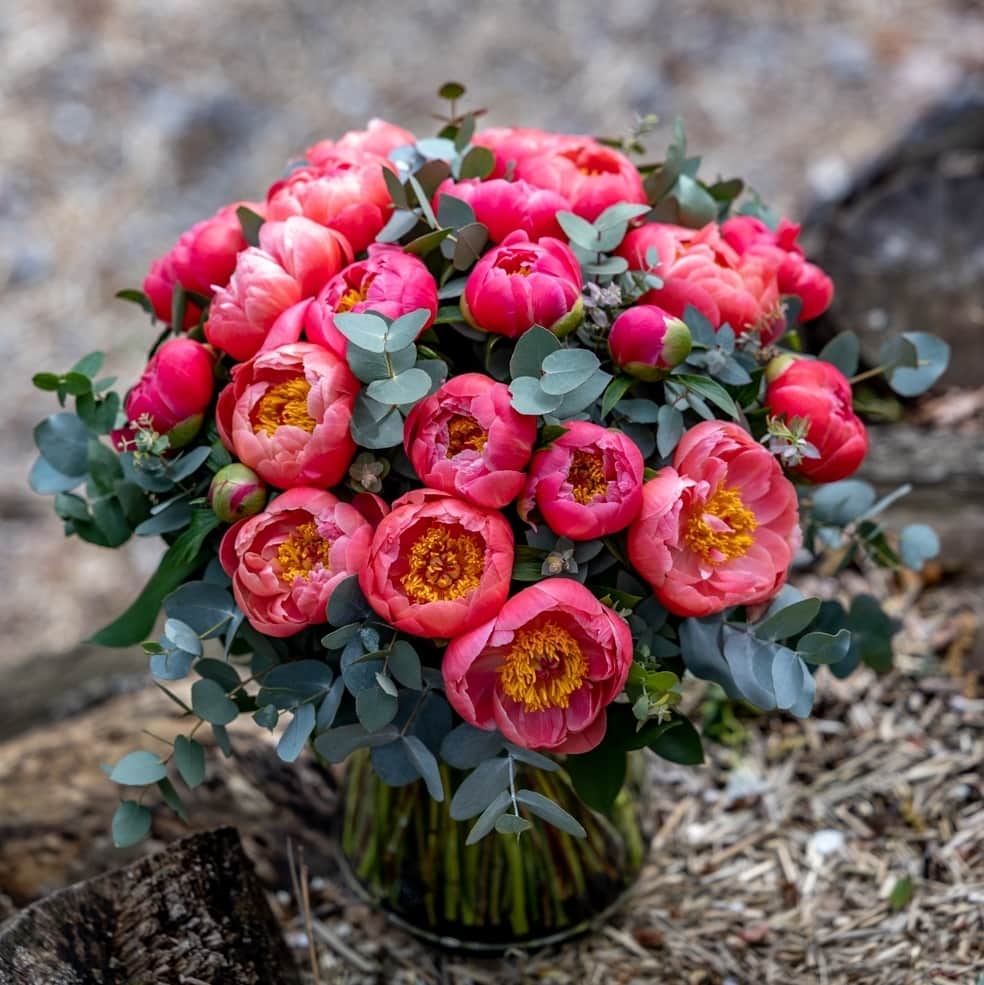 ニコライ・バーグマン・フラワーズ＆デザインさんのインスタグラム写真 (ニコライ・バーグマン・フラワーズ＆デザインInstagram)「A