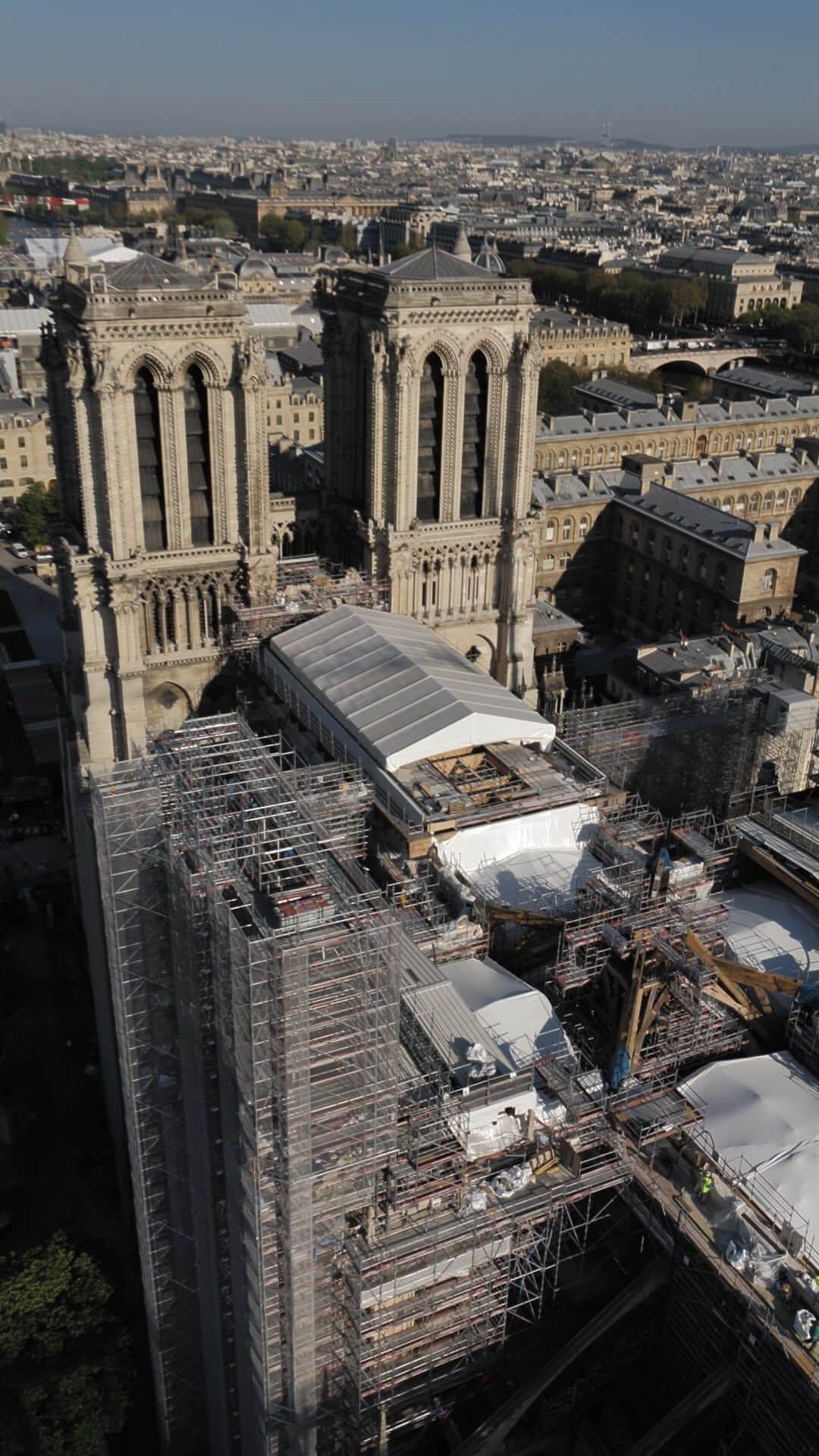 ナショナルジオグラフィックさんのインスタグラム動画 (ナショナルジオグラフィックInstagram)「Video and photos