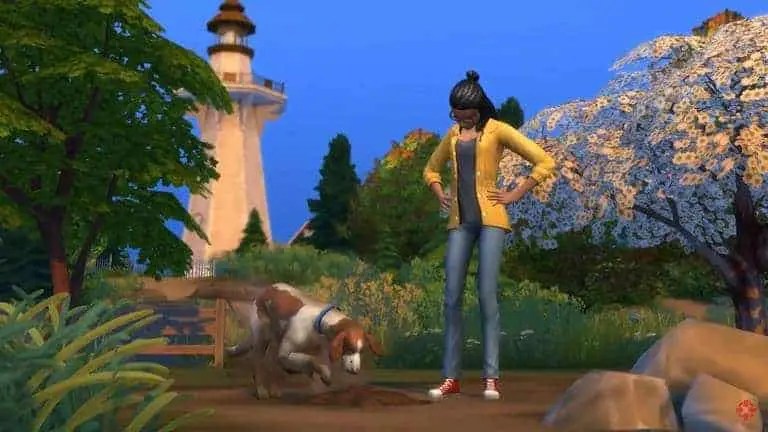 Cat And Dog Free Download Game