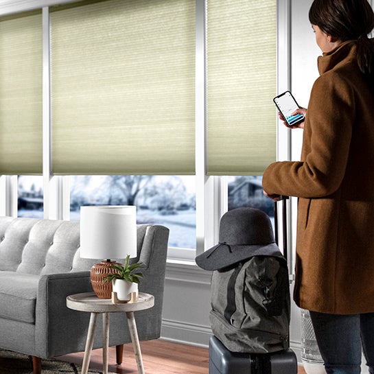 Cellular Shades Blinds) The Ultimate Window Treatments for