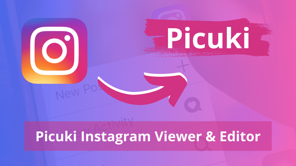 Picuki The Ultimate Instagram Viewer and Downloader