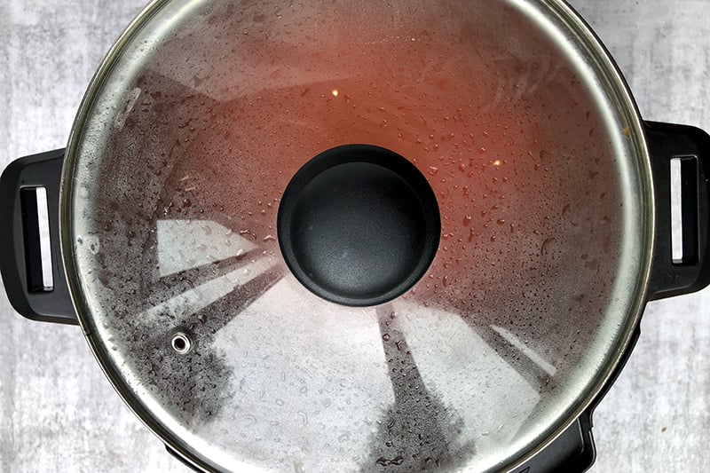 Best Instant Pot Tomato Soup (Panera Bread Inspired) LaptrinhX / News