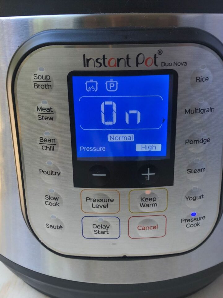 Instant Pot Burn Message Decoded Tips for Quick Fixes and Prevention