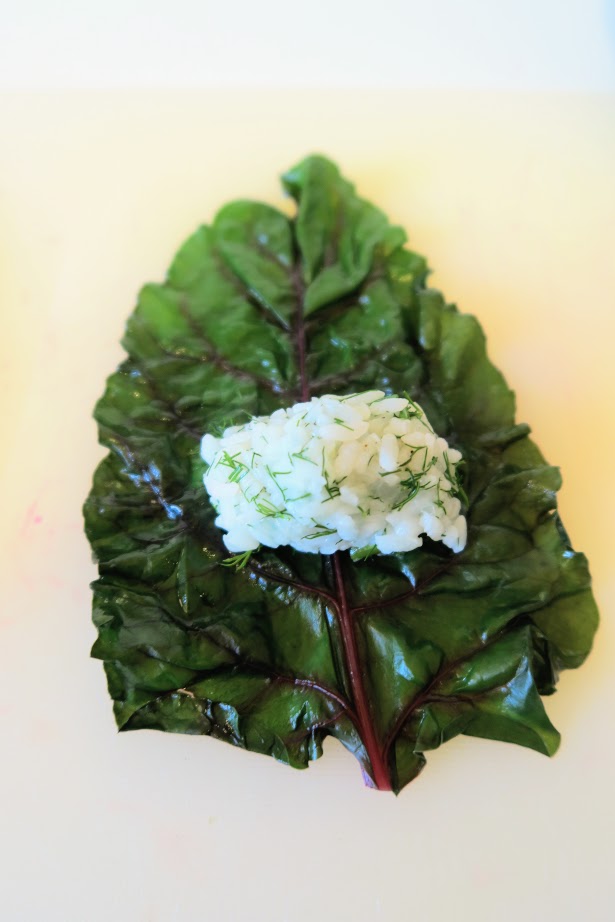 Instant Pot Beet Leaf Holubtsi Instant Ukrainian