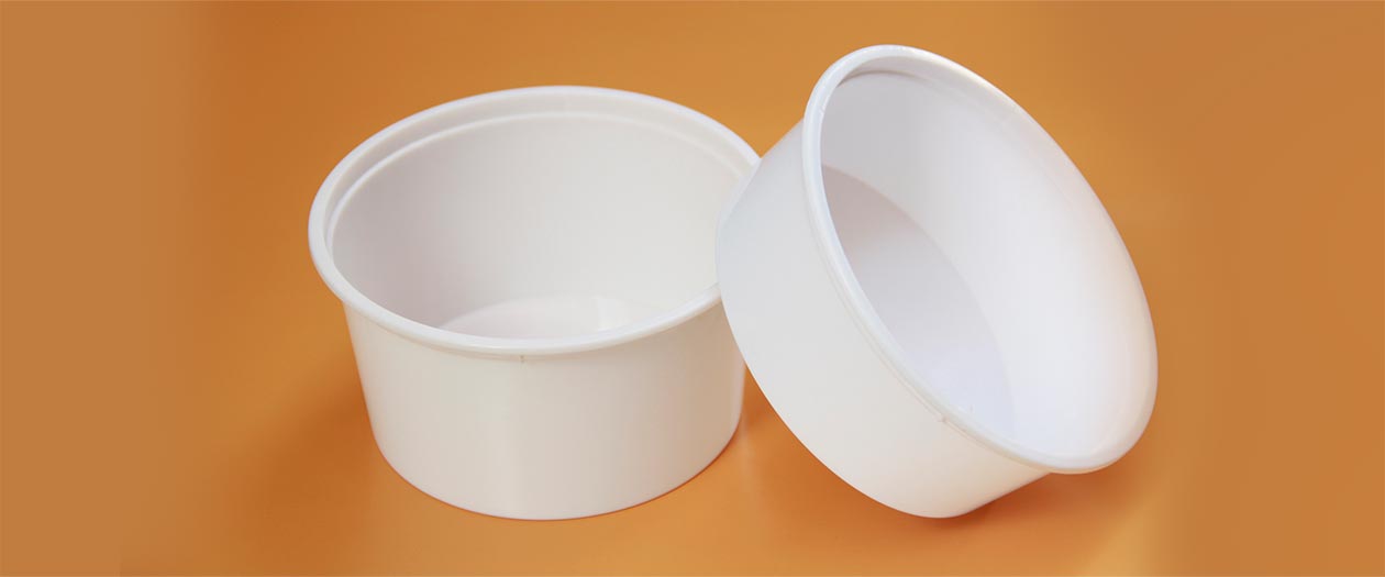Plastic Food Packaging Containers Manufacturers/Exporters