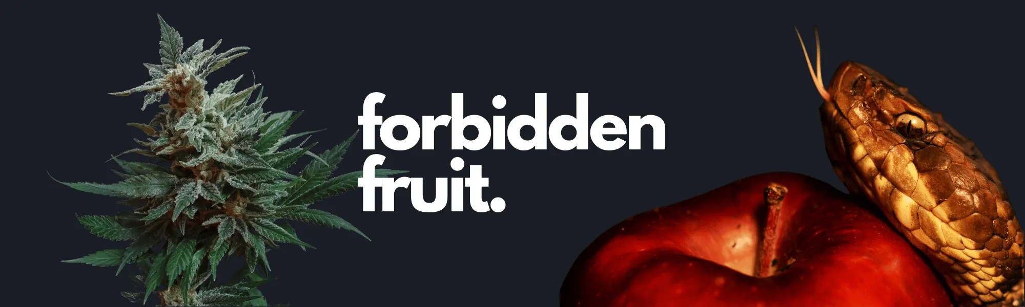 3 Best Strains For Canna Banana Bread