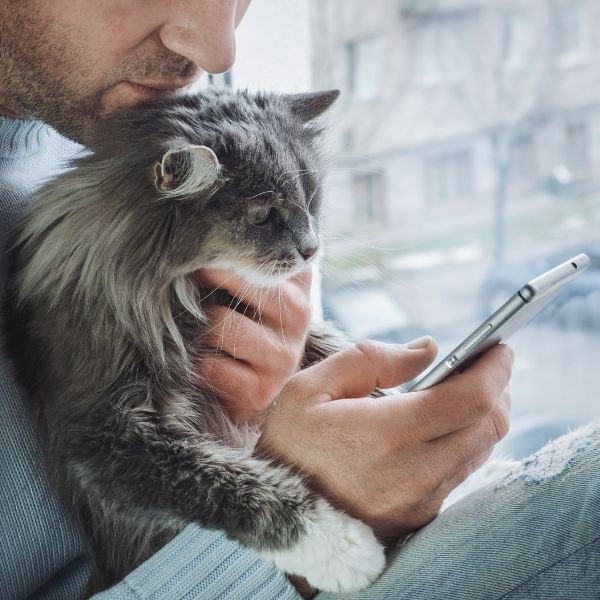 24/7 Urgent Pet Care Hotline Queens, NY InstaVet