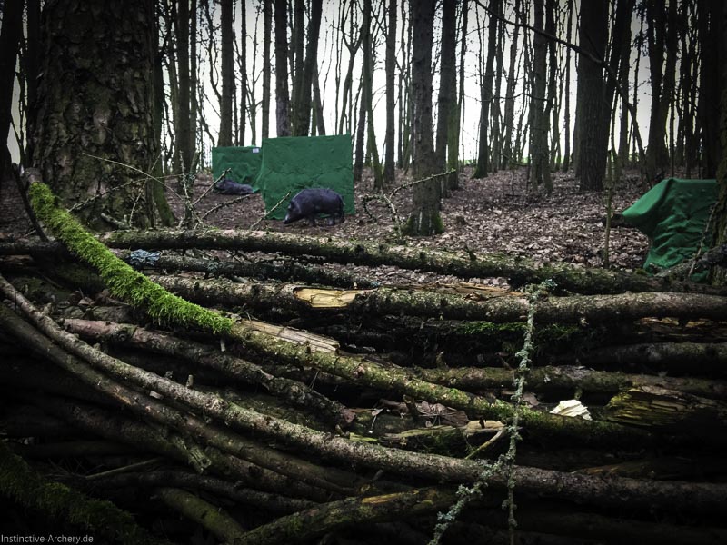 3DBogenparcours Bearpaw in Rossach InstinctiveArchery.de
