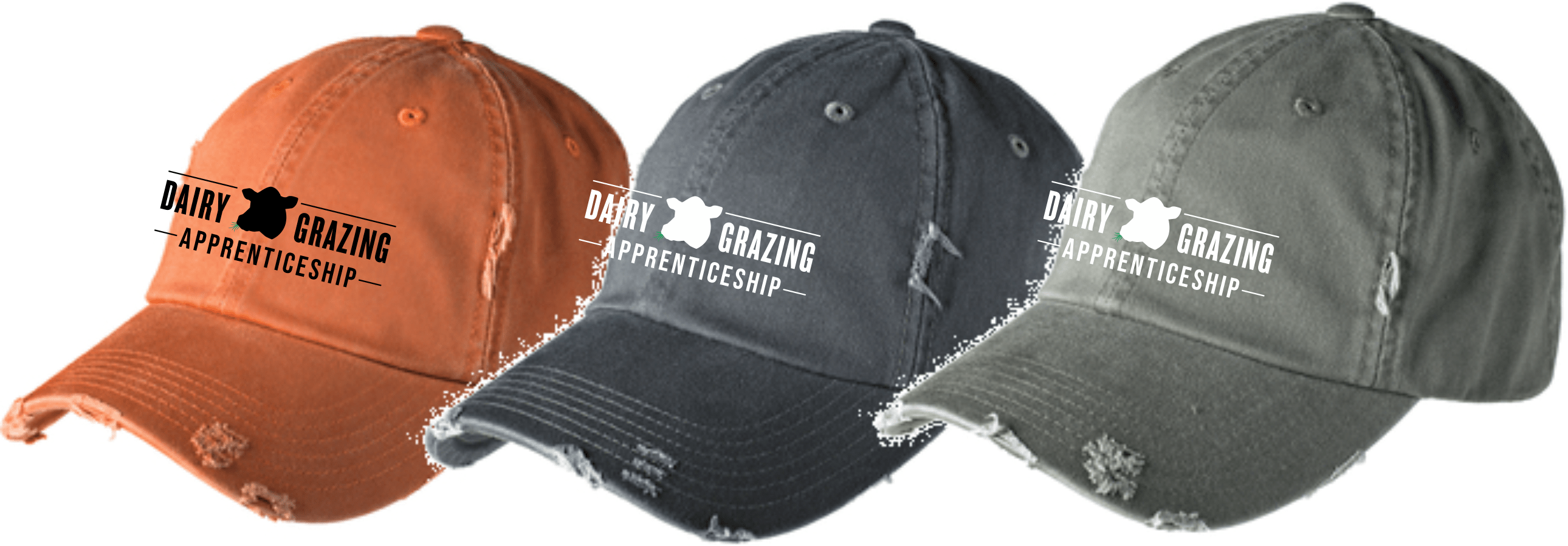 DGA District Distressed Hat In Stitches and Ink