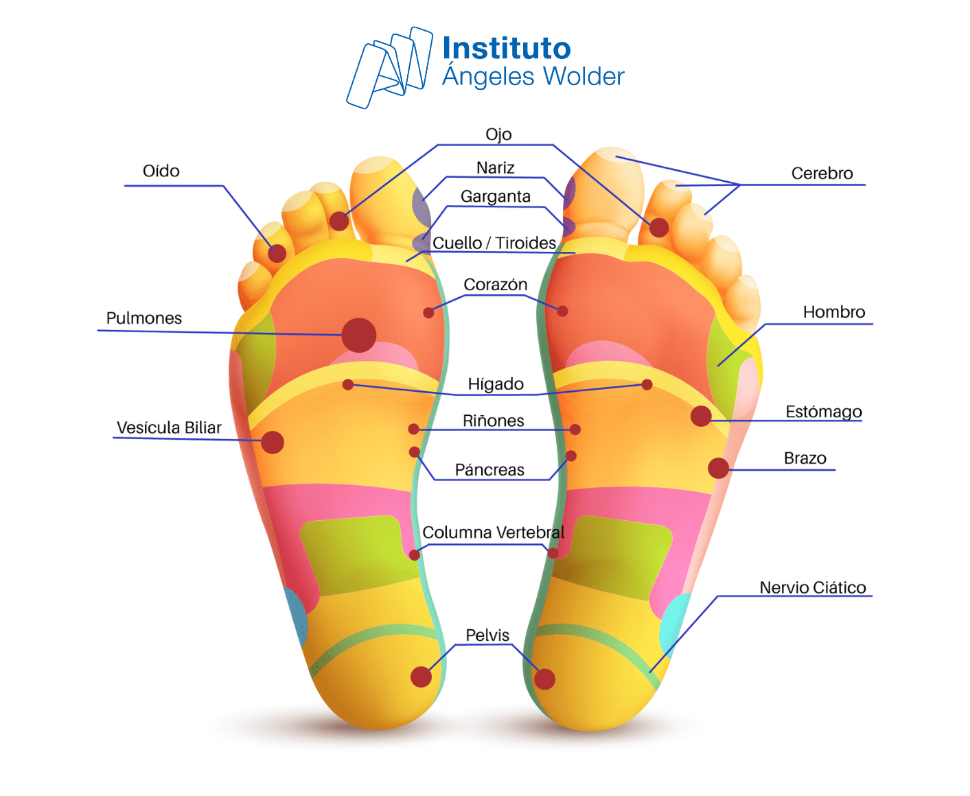 Descodificando los pies Instituto Ángeles Wolder