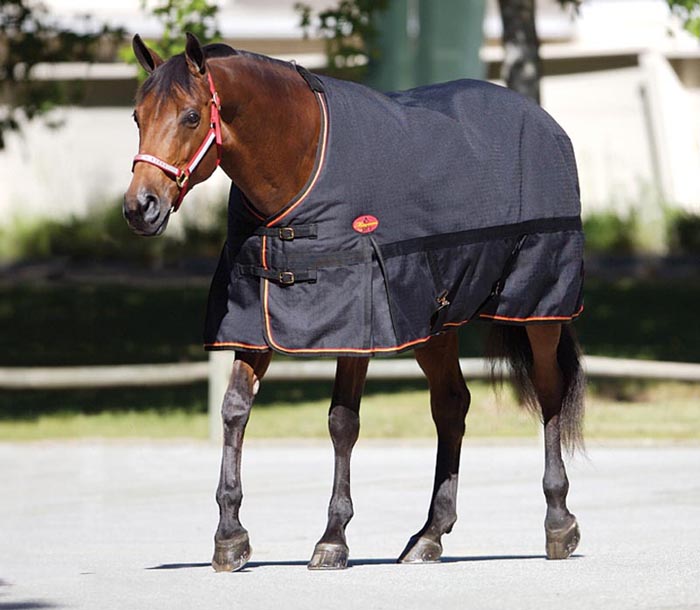 Blanket Statements Keeping warm in the winter InStrideEdition