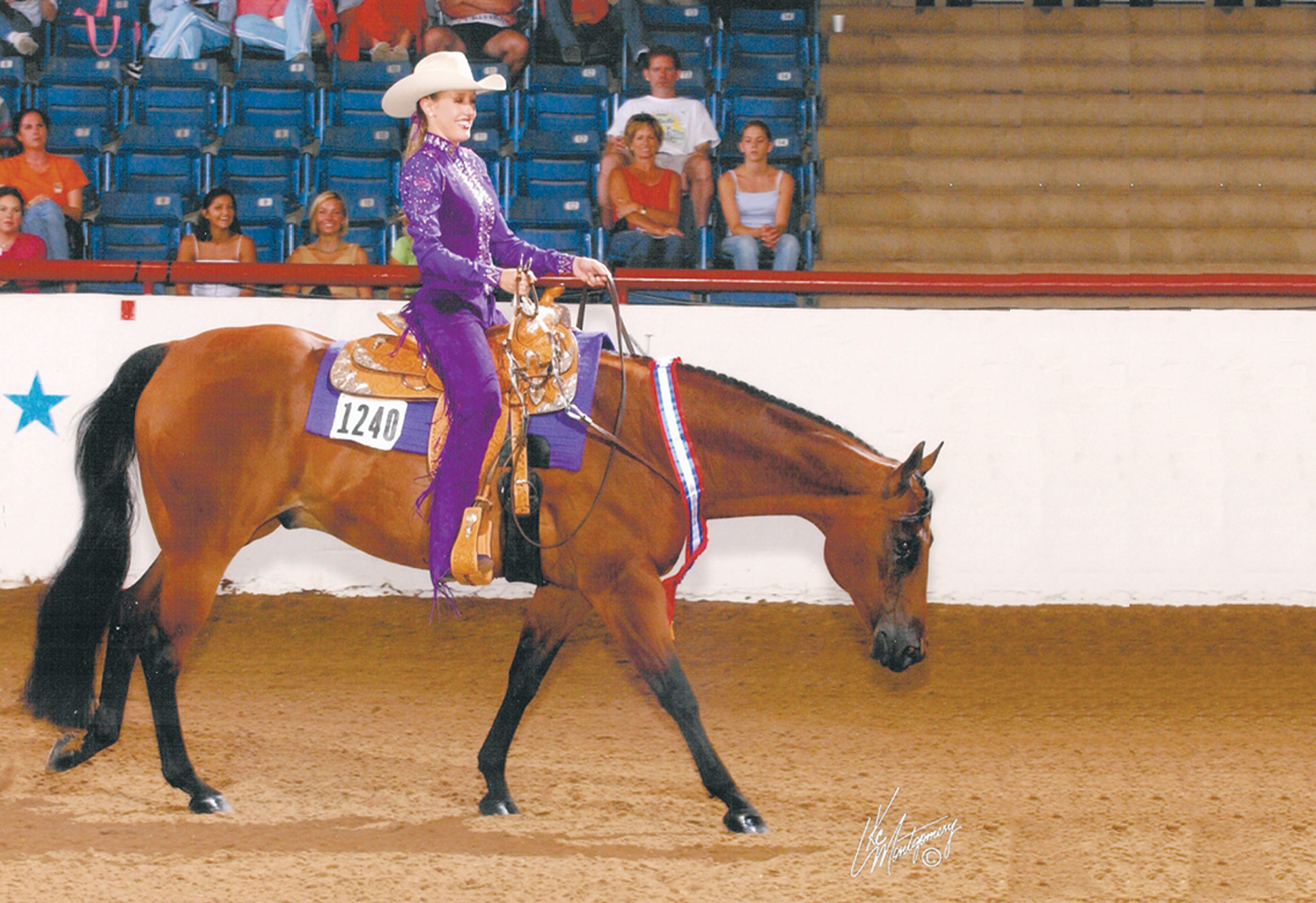Legendary AQHA show horse Zippo LTD dies at the age of 30 in Texas