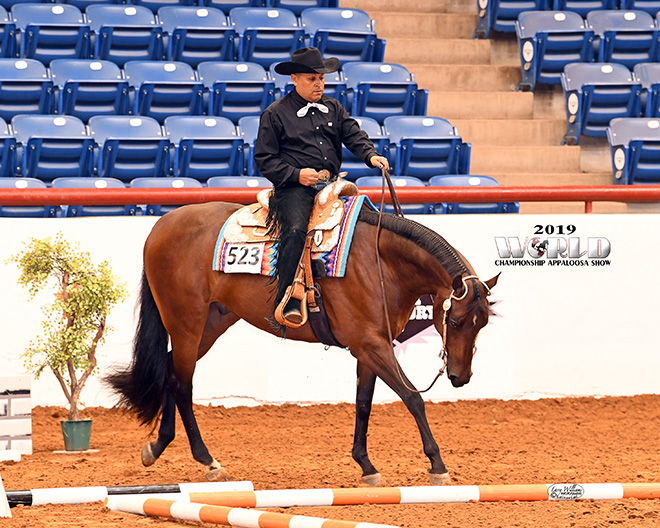 Appaloosa Horse Club waives qualifying for World Show InStrideEdition
