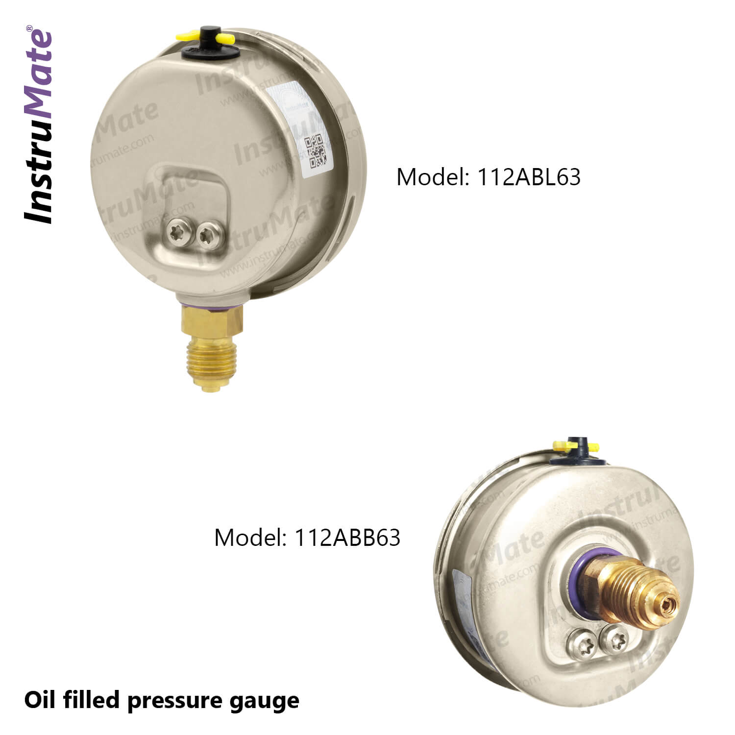 Oil Filled Pressure Gauge 112AB InstruMate