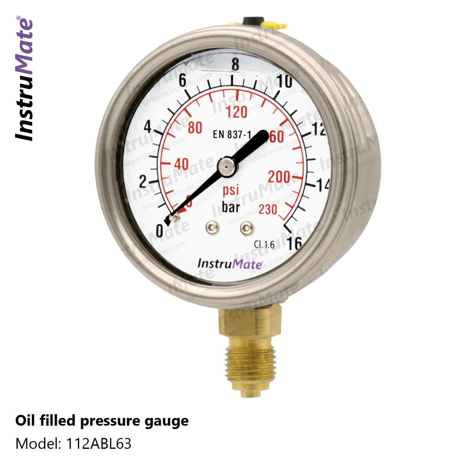 Oil Filled Pressure Gauge 112AB InstruMate