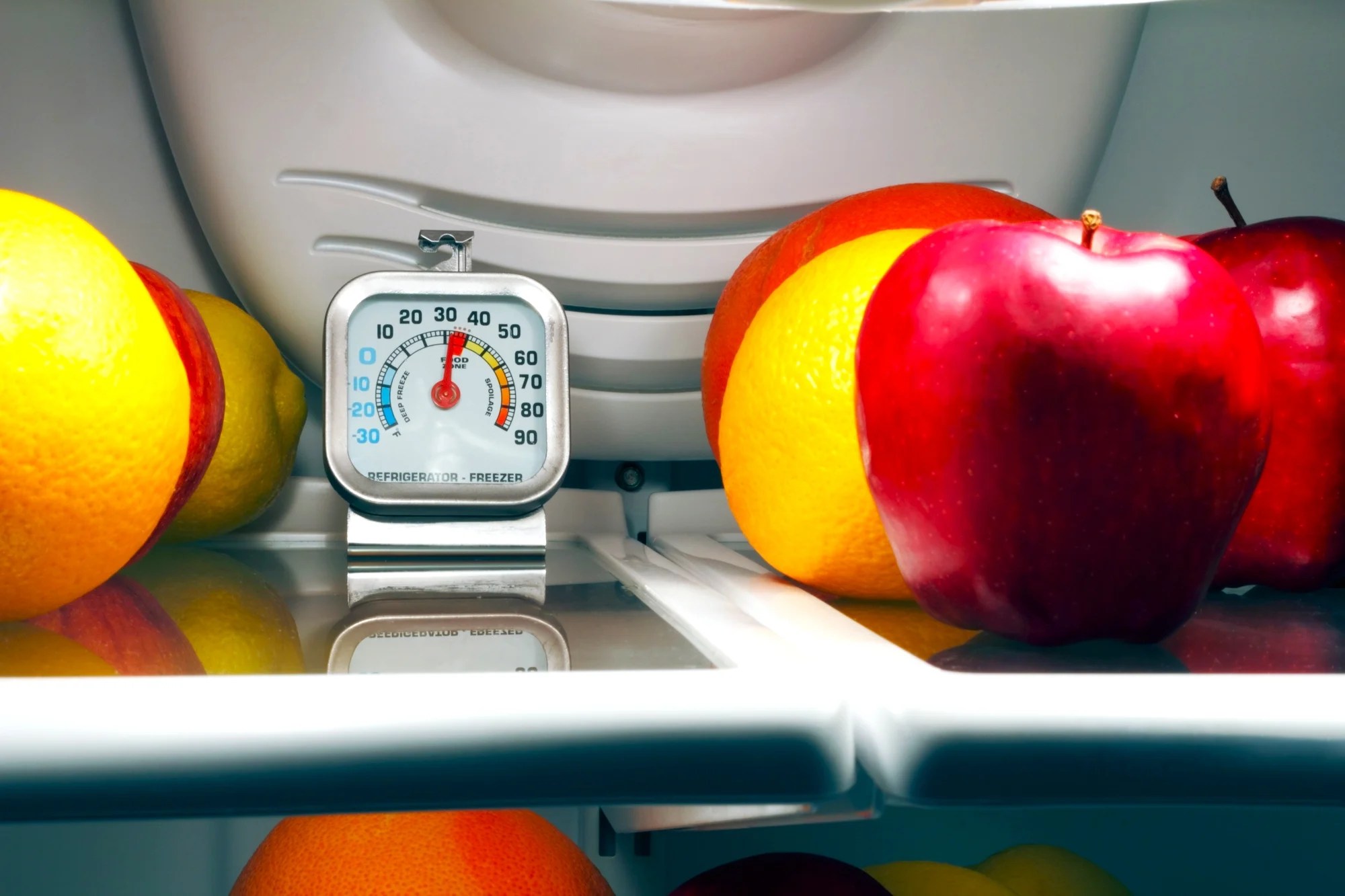 Food Safety Equipment, Tools, and Tips A Guide For Businesses