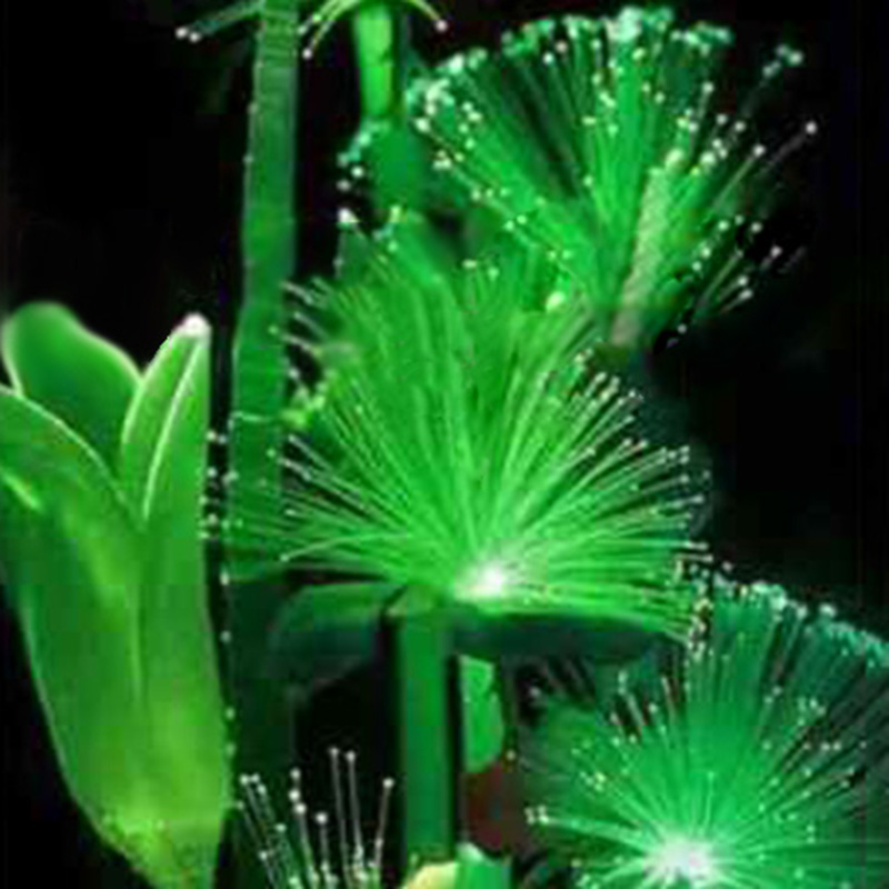 Rare! 100Pcs Emerald Fluorescent Flower Seeds, Night Light Emitting