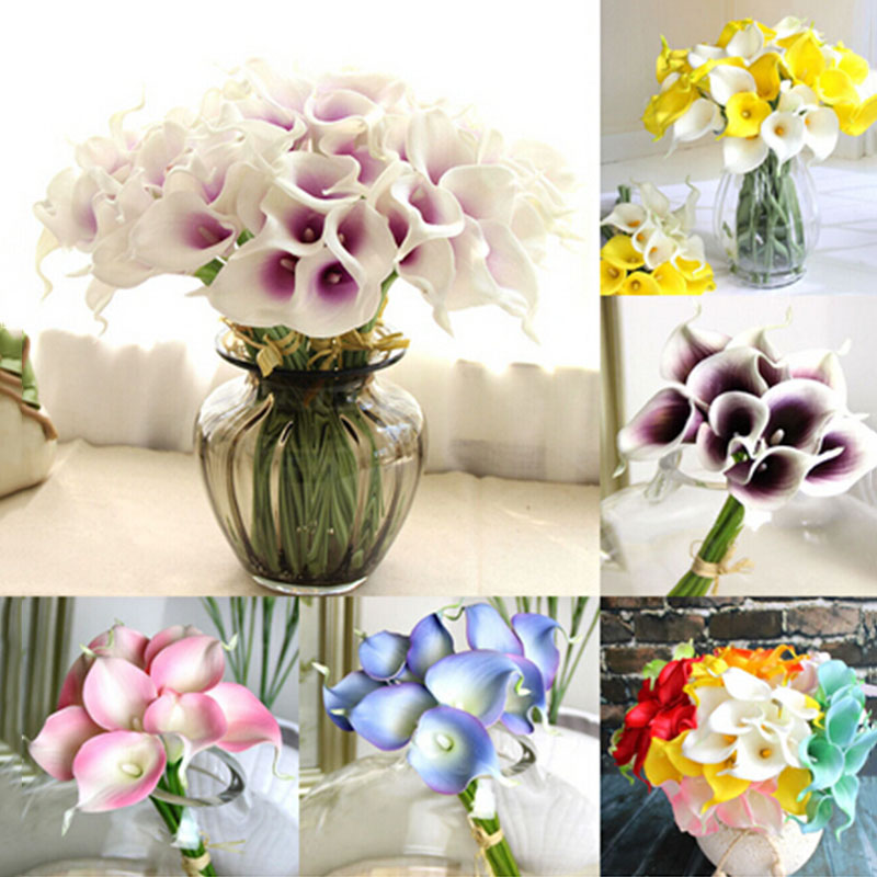 2Pc Bulbs True Calla Lily Bulbs Calla Bulbs Not Calla Lily Seed Flower