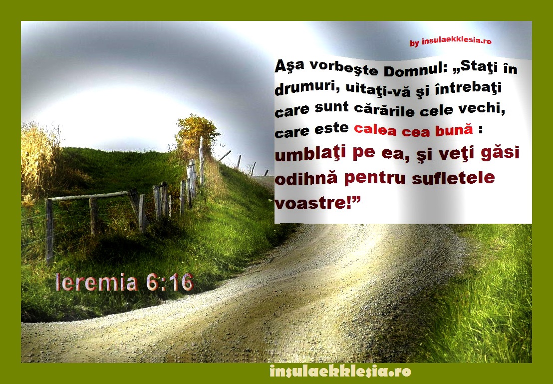 Sunt un firicel de floareversuri si video Insula Ekklesia