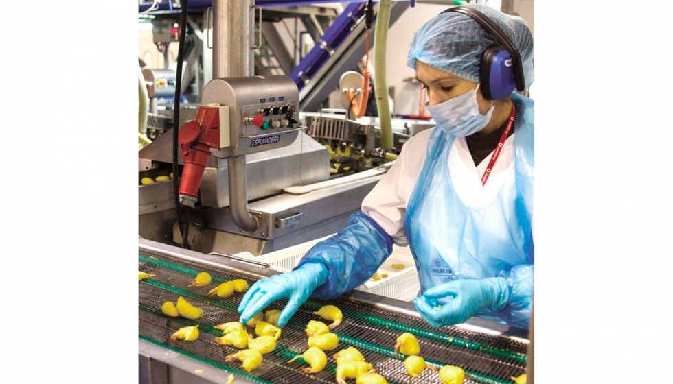 Seguridad Industrial en la Industria Alimentaria Garantizando la