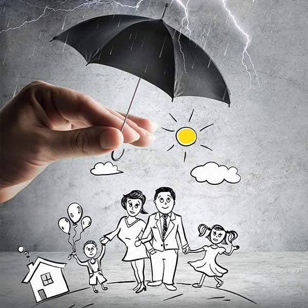 Insurance Lamb Launches Insurance Lamb