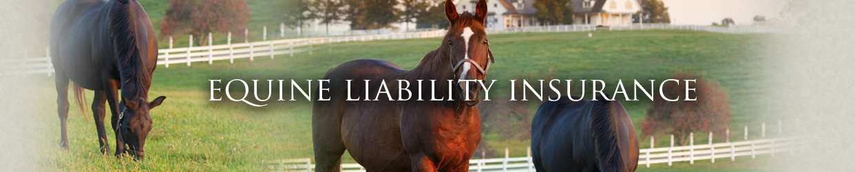 Equine Liability « Horse Insurance with SmithEmbry Get a FREE Quote