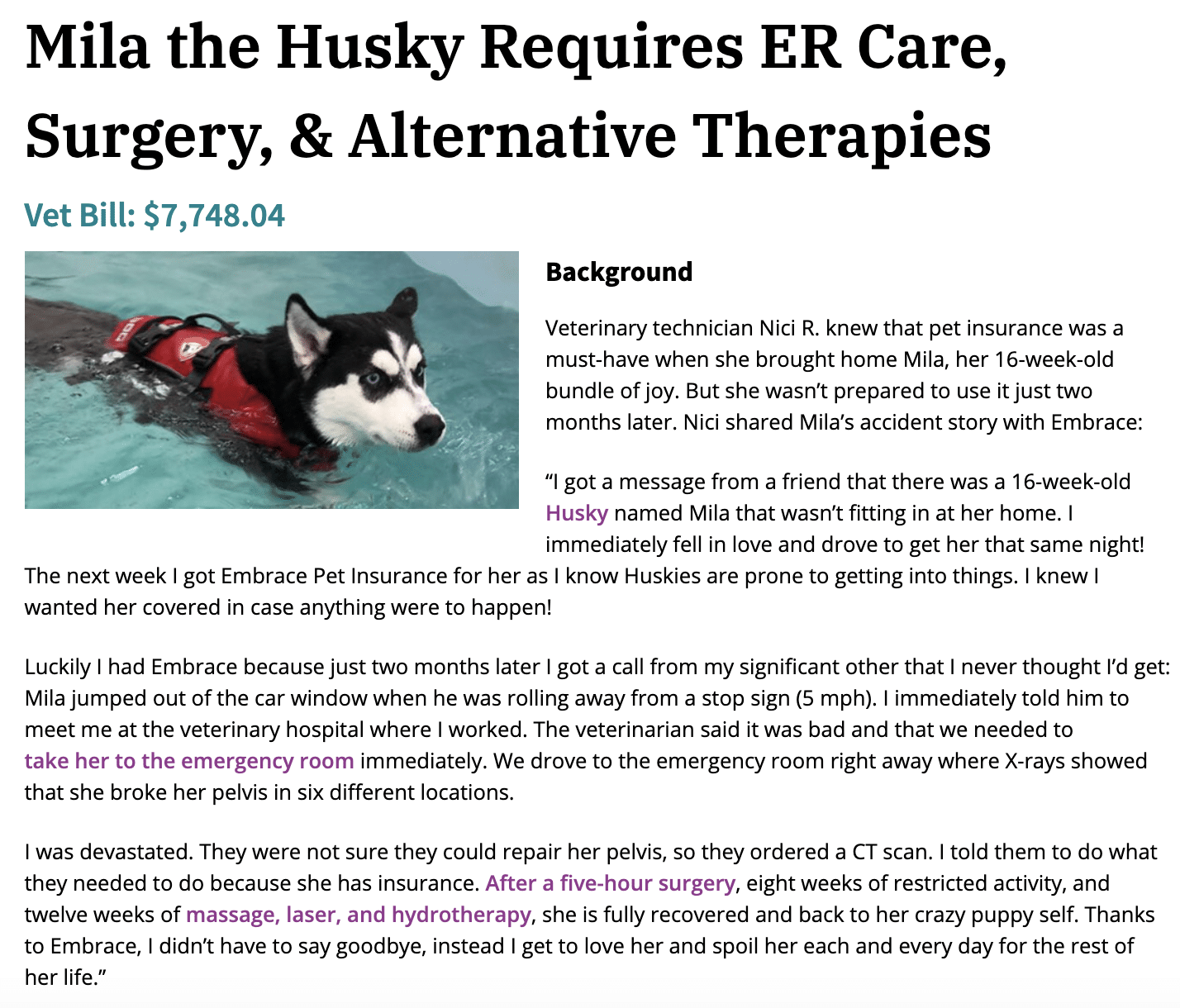 Embrace Pet Insurance Is it the right choice?