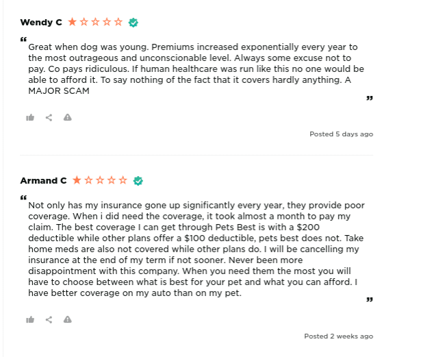 Pets Best Pet Insurance Is it the right choice?