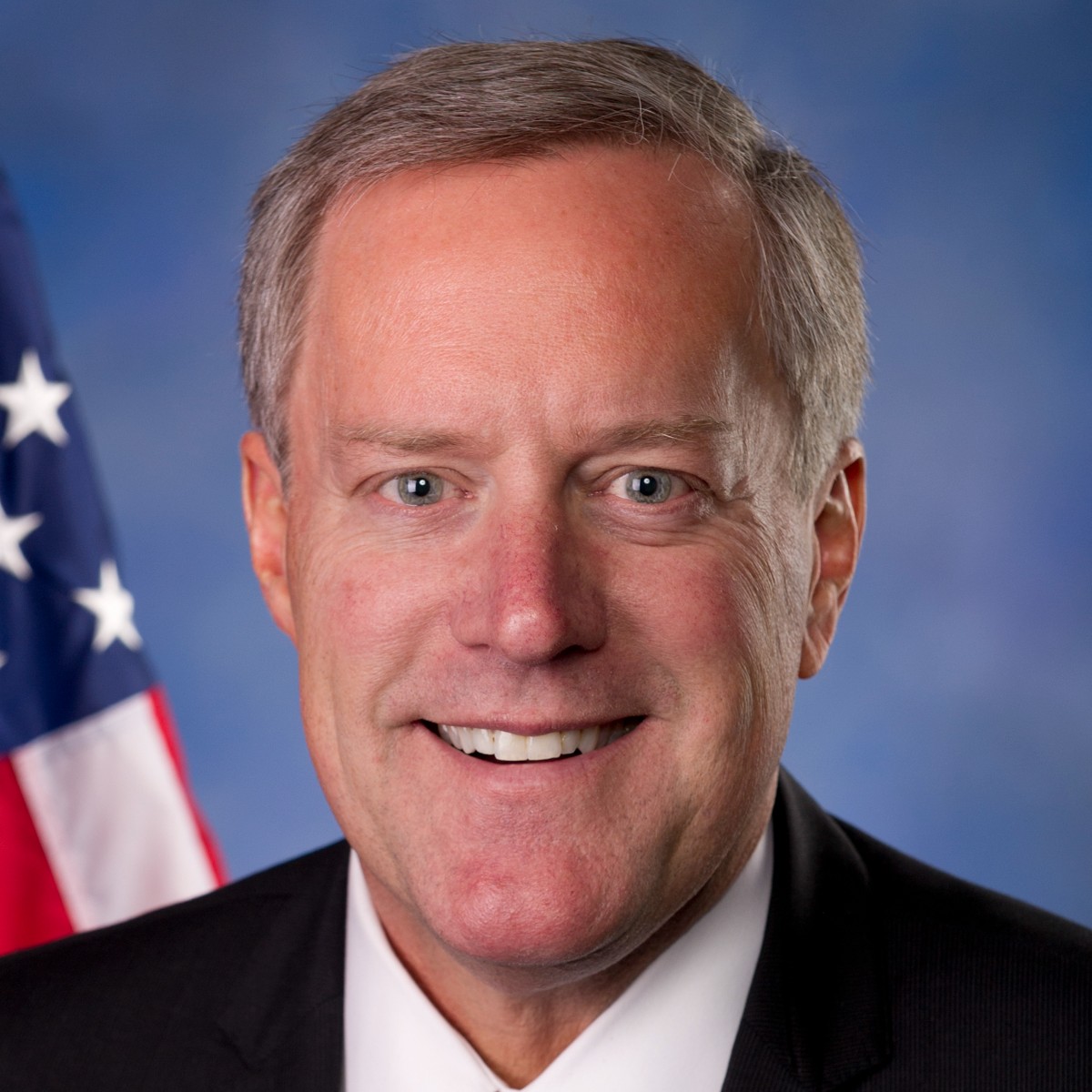 Meadows, Mark INSURRECTION EXPOSED