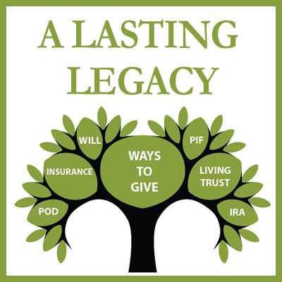 Creating a Legacy - Intaction