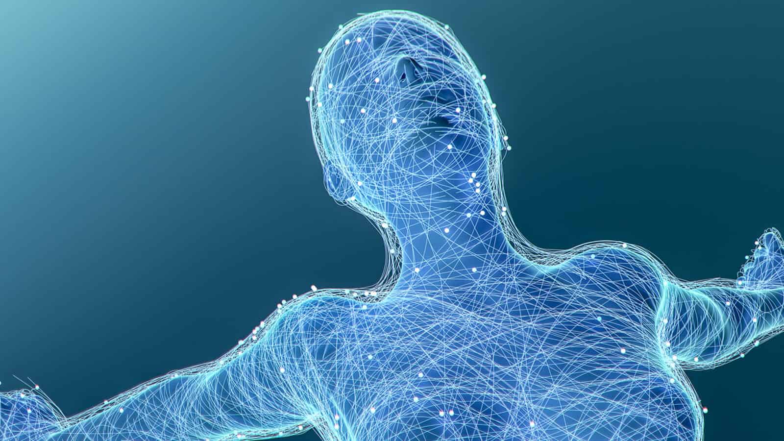 Trauma and the Unbound Body The Connection Between