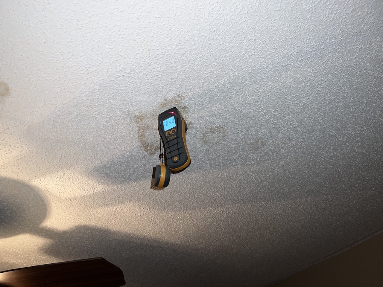 Mold Removal | Integral Restoration