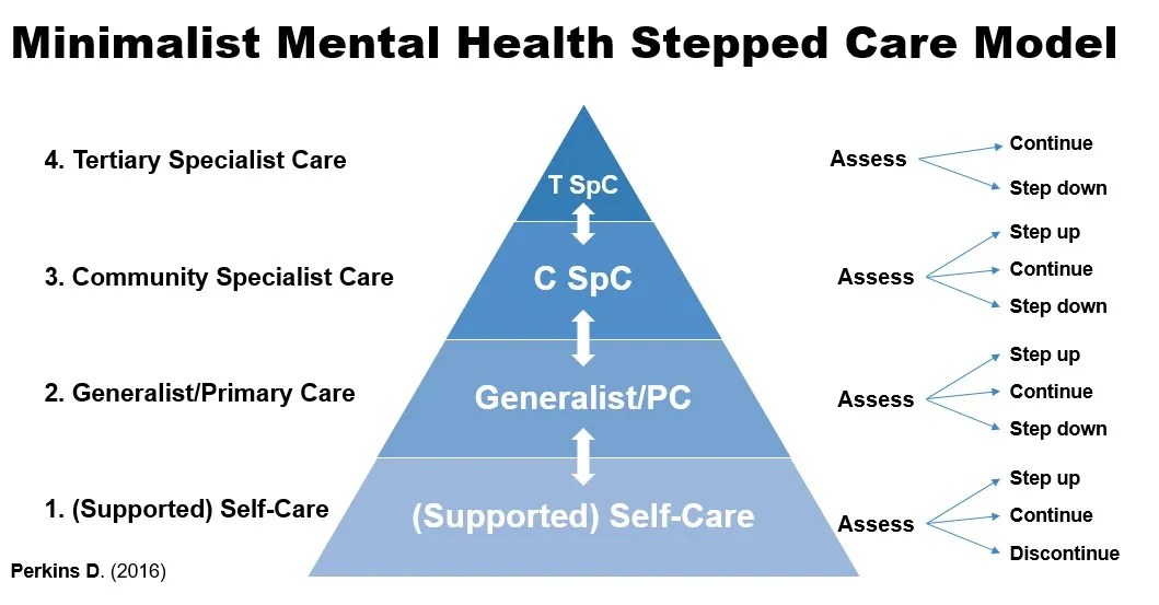 Towards integrated mental health services in a rural community IFIC