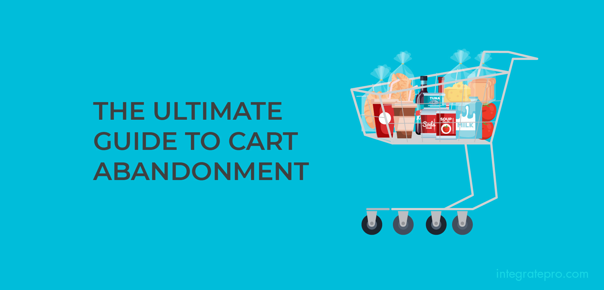 The Ultimate Guide to Cart Abandonment Integrate Pro