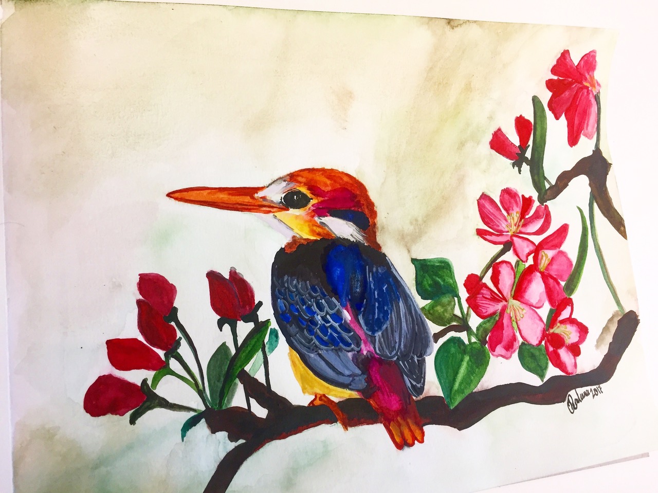 Art In Bio The 1st In An Icb Iob Blog Series Integrative And Comparative Biology
