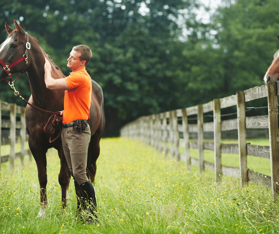 What are the Benefits of Equine Therapy? Integrative Life Center