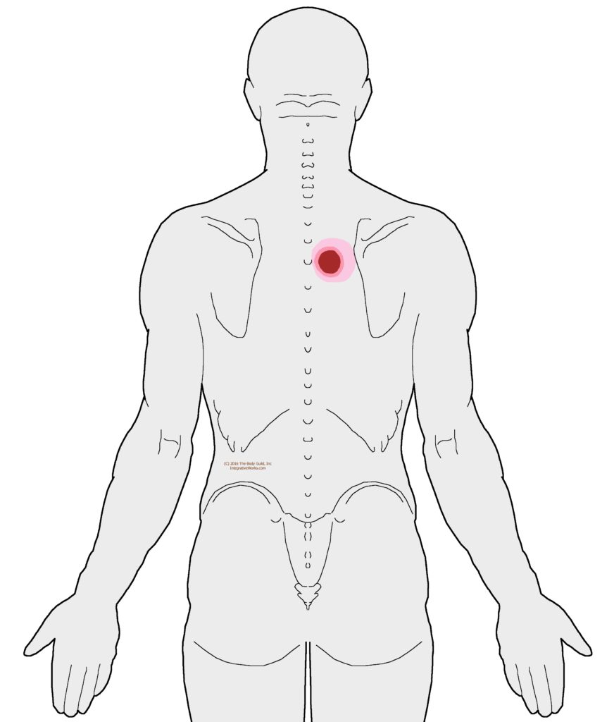 Stabbing Pain In Left Shoulder Blade / 2021 Update 9 Facts